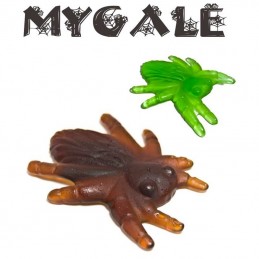 Mygales, bonbon en forme...