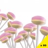 Sucette Lollie, 80 pièces