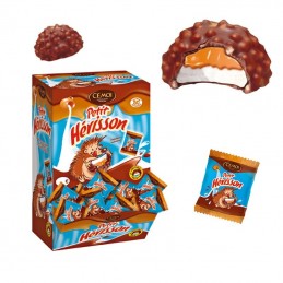 Petit Hérisson au chocolat...